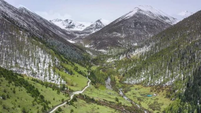 阴天雪山峡谷有大片原始森林