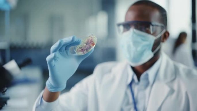 非裔美国男性科学家戴着口罩和眼镜，看着装有转基因样品化学物质的培养皿。用技术设备在现代实验室工作的微