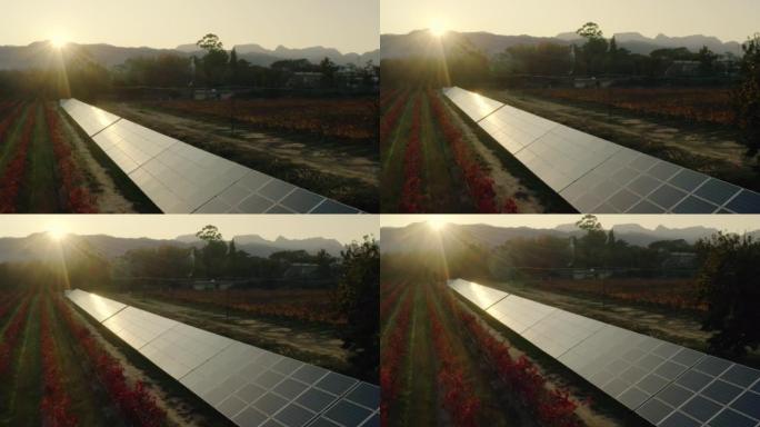 太阳能电池板、农村农场和太阳能太阳能在农业可持续发展领域。清洁能源、电力和电力碳捕获农业或可再生能源