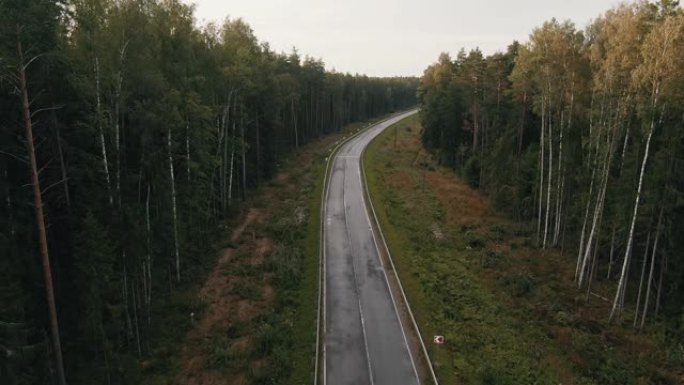 日落时森林里的路。航拍视频