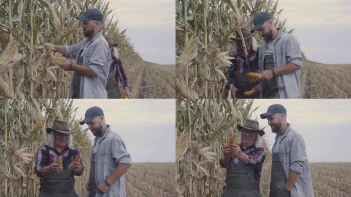 快乐的农民在田间检查玉米