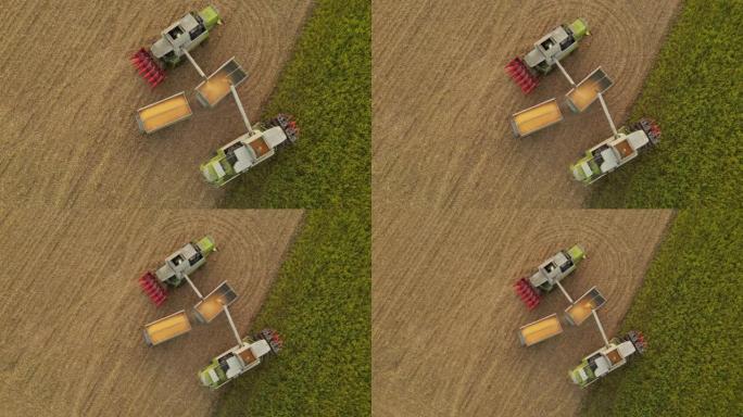 两台联合收割机卸载玉米的正上方航拍
