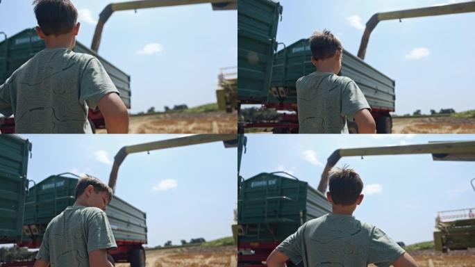 看着联合收割机的SLO MO小男孩将谷物装载到拖拉机拖车中