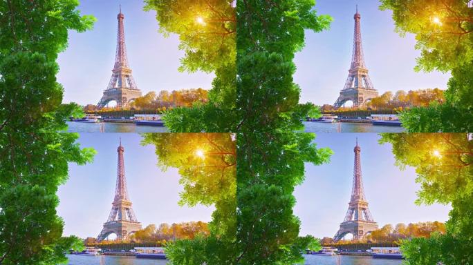 树上的埃菲尔铁塔。巴黎，春天，太阳