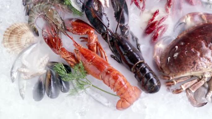 4K UHD手持顶视图: 各种豪华的新鲜海鲜，龙虾鲑鱼鲭鱼小龙虾对虾章鱼贻贝和扇贝，在冰的背景下冷冻