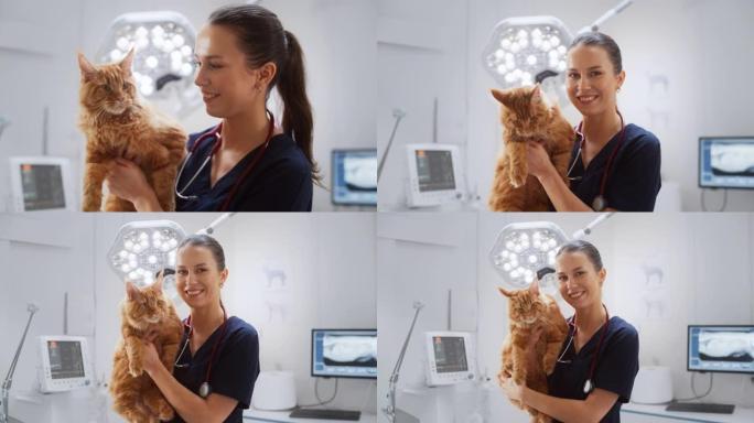 专业兽医与听诊器持有红色的缅因浣熊在当代医疗兽医诊所设施。年轻的女兽医看着相机，迷人地微笑着