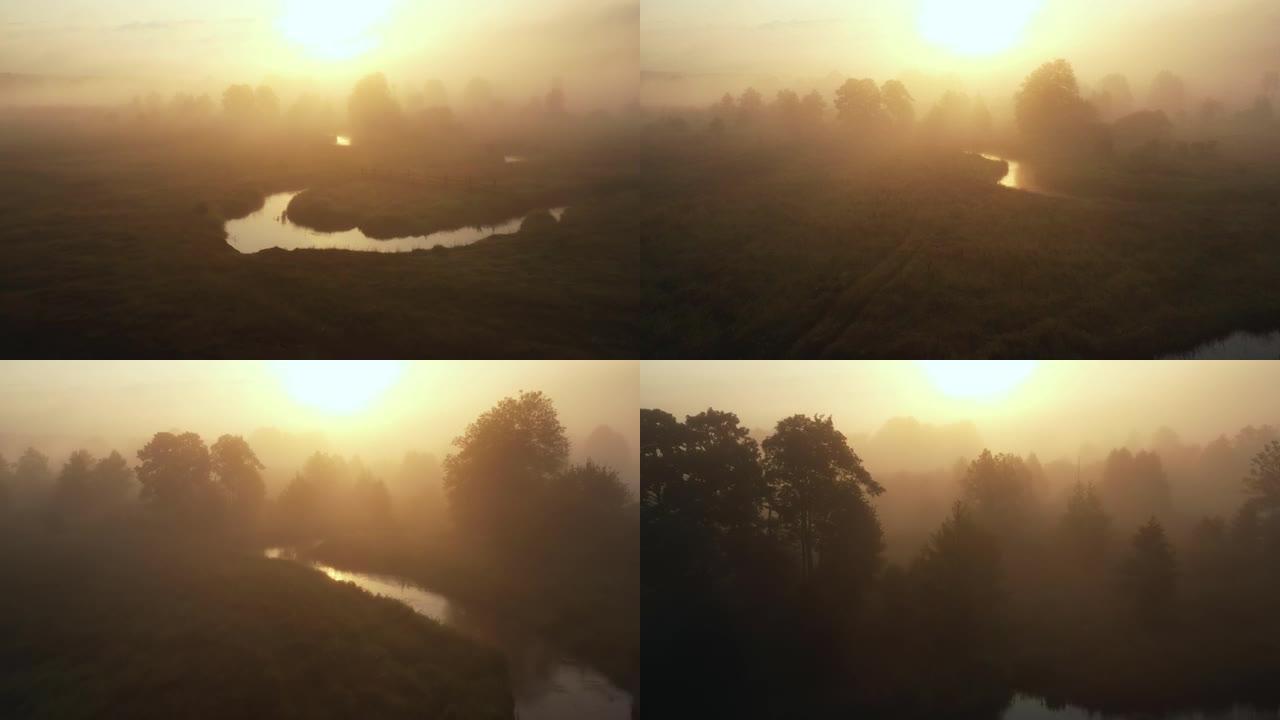 在史诗般的温暖的夏季日出上，大气空中天桥，令人惊叹的雾谷，树木和河流覆盖着浓雾。