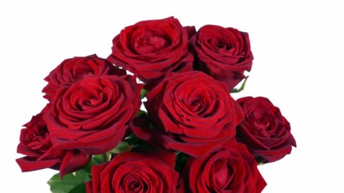 传递白色孤立的大束玫瑰