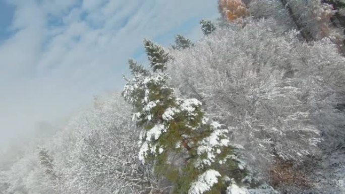 FPV无人机: 白雪皑皑的林地和深秋雪中山谷的壮丽景色