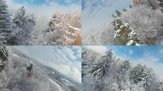FPV无人机: 白雪皑皑的林地和深秋雪中山谷的壮丽景色