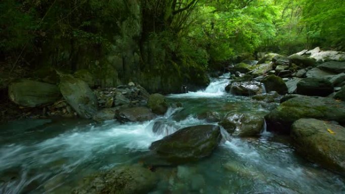 森林中的溪流水森林海氧吧瀑布溪流水