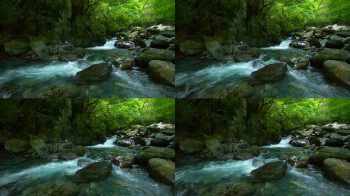 森林中的溪流水森林海氧吧瀑布溪流水