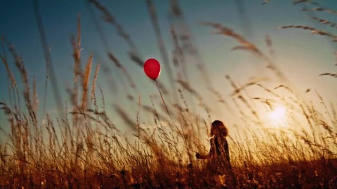 黄昏时，一个带着红色气球的女孩在高高的羊茅草地上行走的SLO MO剪影