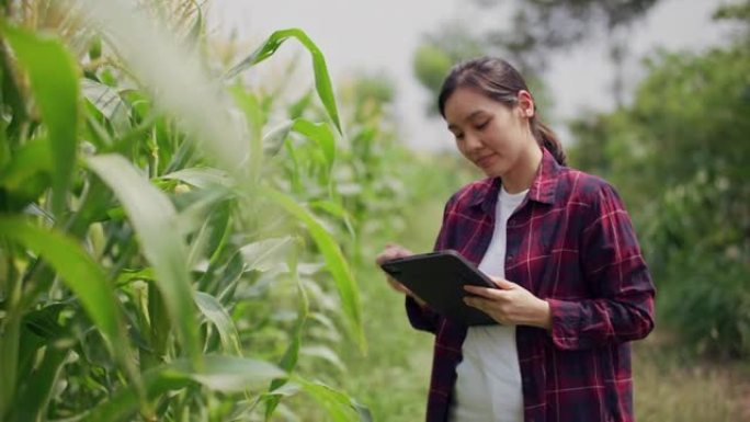 农民拿着平板电脑在她的农场里检查