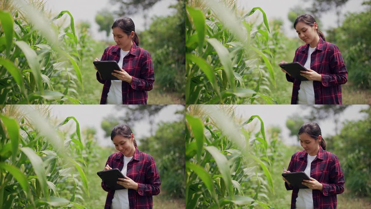 农民拿着平板电脑在她的农场里检查