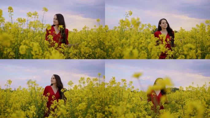 跟踪，穿着红色连衣裙的黑发慢动作拍摄，穿过郁郁葱葱的黄色金鱼龙花田，移动她的手穿过花丛