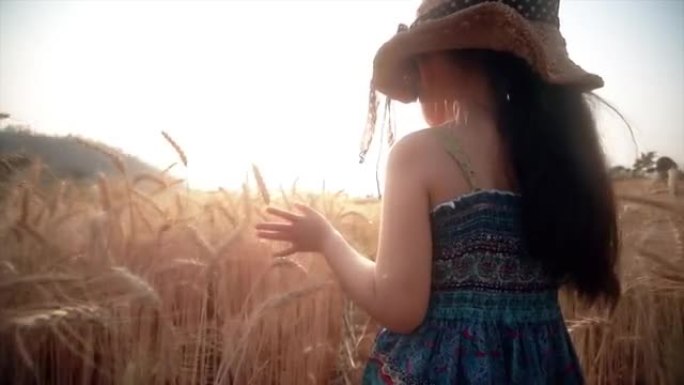 日落时分，SLO MO可爱的亚洲小女孩在大麦田里散步