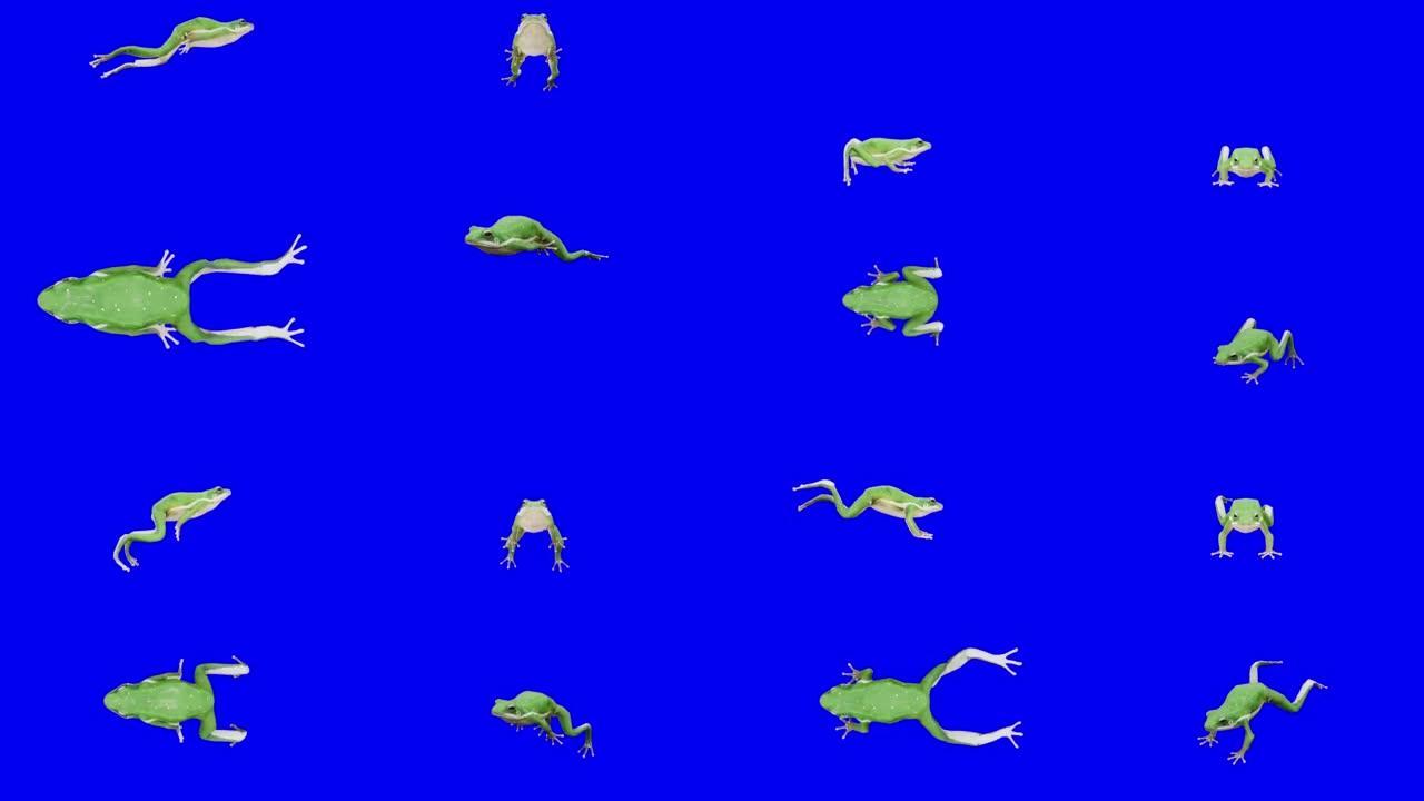 在蓝色屏幕上奔跑的青蛙。动物的概念，野生动物，游戏，返校，3d动画，短视频，电影，卡通，有机，色键，
