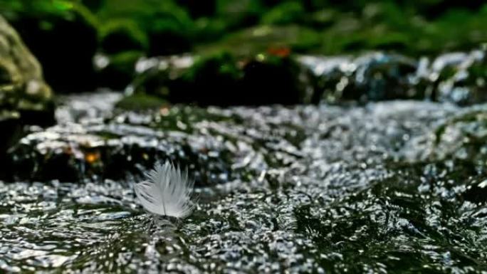 超级SLO MO白色羽毛落在奔流的溪流表面