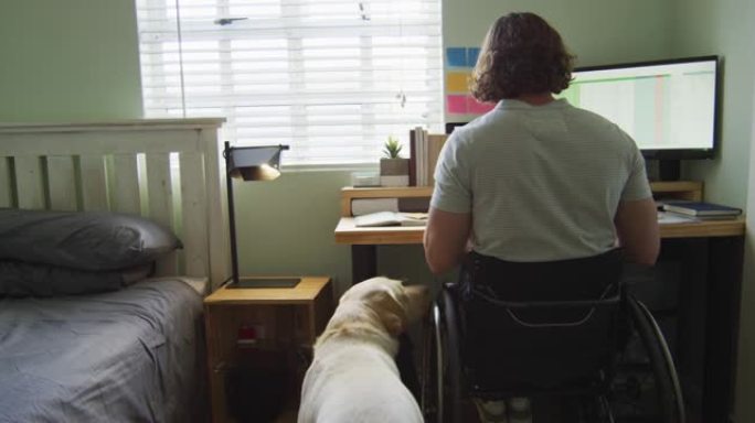 专注的高加索残疾人在轮椅上与宠物狗一起在卧室里使用计算机