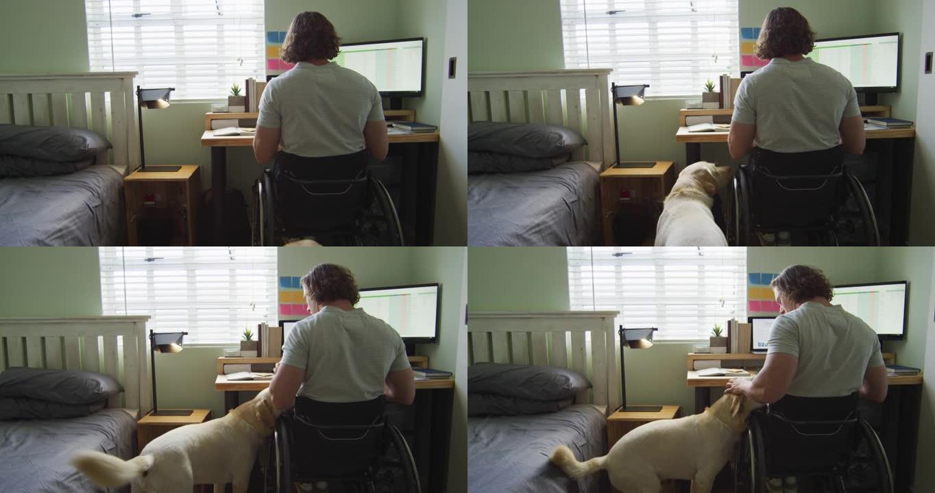 专注的高加索残疾人在轮椅上与宠物狗一起在卧室里使用计算机