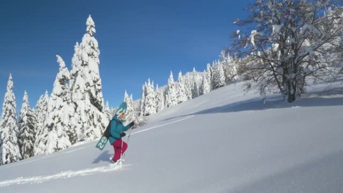 越野滑雪板滑雪鞋爬上覆盖着新鲜粉末雪的小山。