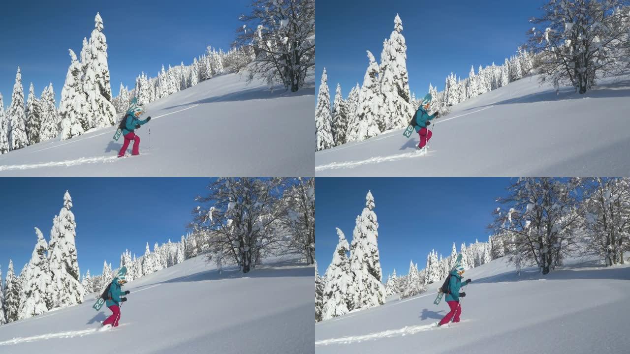 越野滑雪板滑雪鞋爬上覆盖着新鲜粉末雪的小山。