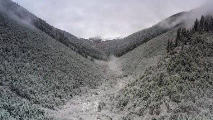 雪后森林起雾了穿越山川山间穿梭航拍山川