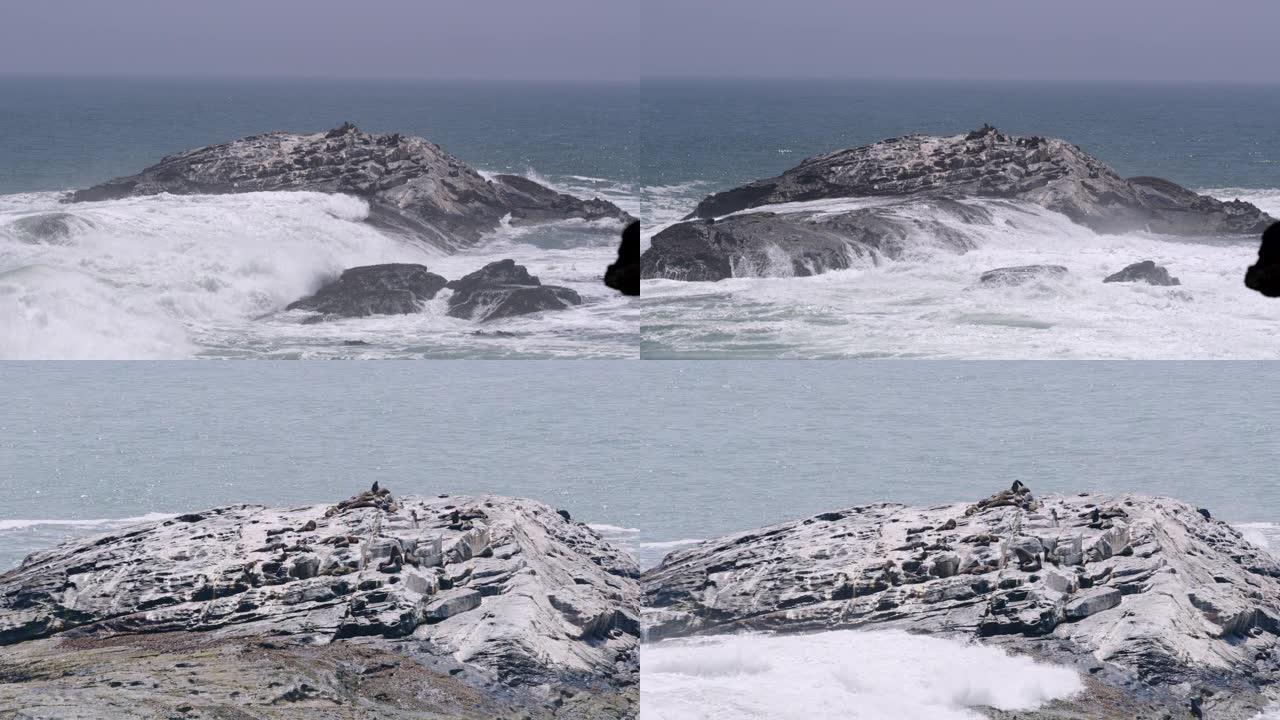 MS海浪撞击海豹，非洲纳米比亚的岩石