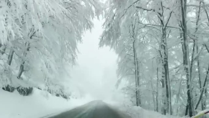 POV: 在寒冷的Bohinj沿着偏僻的小路开车的第一人称照片，