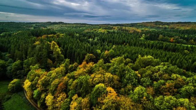 德国秋季森林的鸟瞰图
