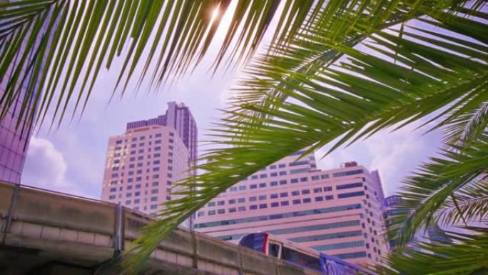曼谷BTS列车。符号视图。棕榈树叶子。太阳晨光。酒店