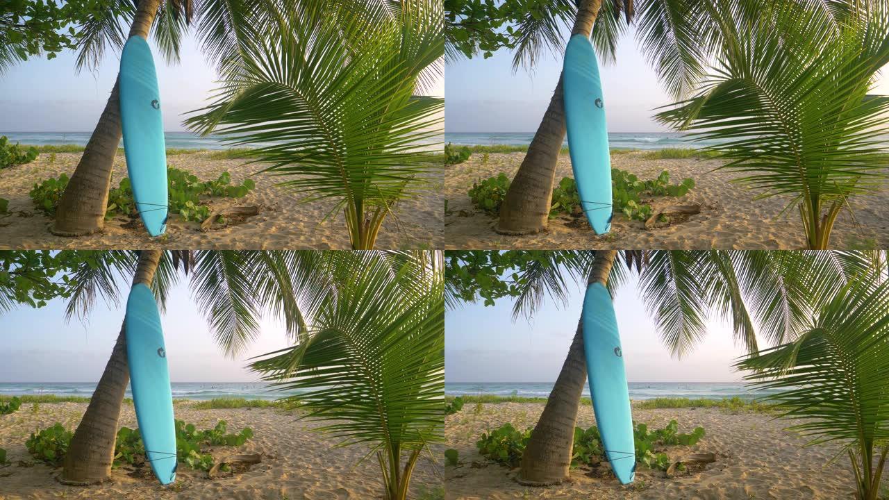 特写: 长长的蓝色冲浪板靠在风景秀丽的热带海滩上的棕榈树上