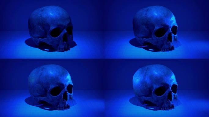 实验室中的古代头骨点亮了多个灯