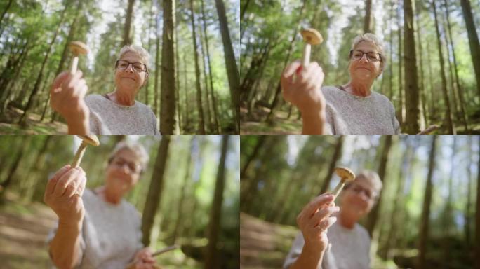 女人在森林中发现的可食用蘑菇