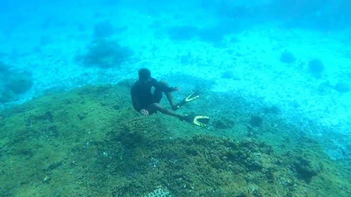 免费潜水员在清澈的海水和海水中的珊瑚礁中浮潜和自由潜水