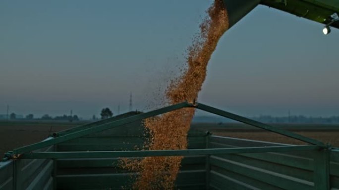 超级SLO MO联合收割机黄昏时在拖车上卸载玉米