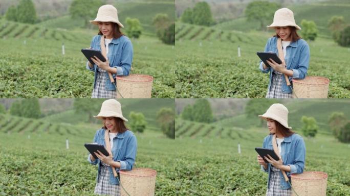 使用数字平板电脑记录收获田地的智能农民