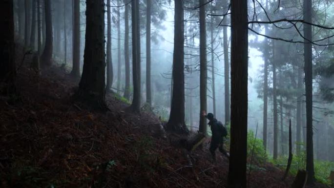 在雾森林中行走的人