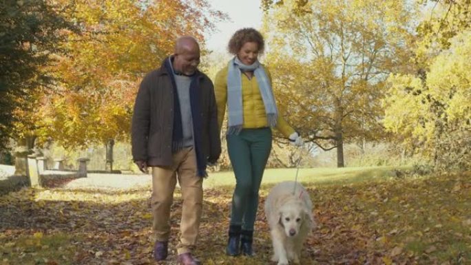 高级夫妇与宠物金毛寻回犬在秋天的乡村散步