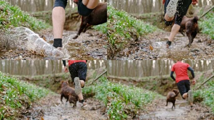 男子与他的狗一起在干燥的河中穿过水坑，低角度视野，慢动作