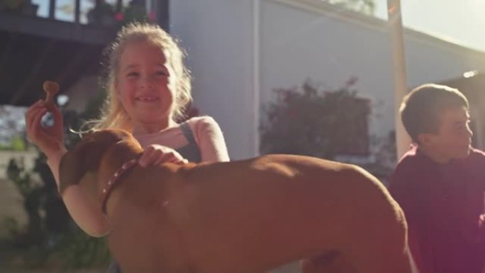 一个男孩和女孩在家里的花园里喂他们的脊背小狗的4k视频片段
