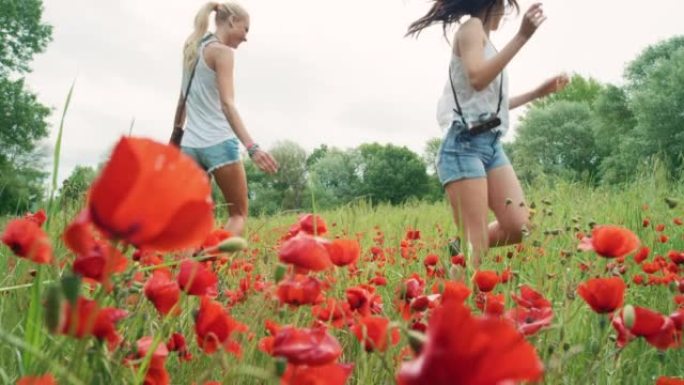 两个女性朋友在花田里奔跑的4k视频片段