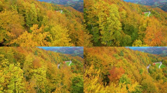 空中: 美丽的金黄色秋天阴影下森林地区的美景