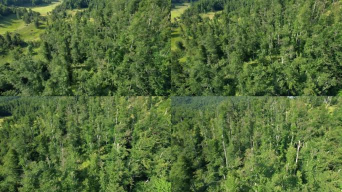 空中: 无人机可以看到中欧乡村山丘上郁郁葱葱的绿色树林。