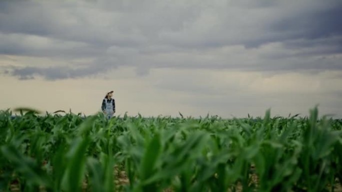 农夫妇女，长长的棕色头发，帽子和工作服站在农业玉米田内，仰望天空检查天气，阴天