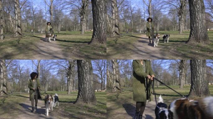 非洲女子walk狗与两只狗在公园