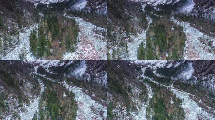 深秋的雪山和树木荒野林海雪原雪后