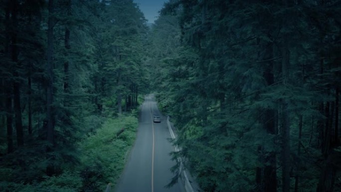 汽车驶过森林高角度