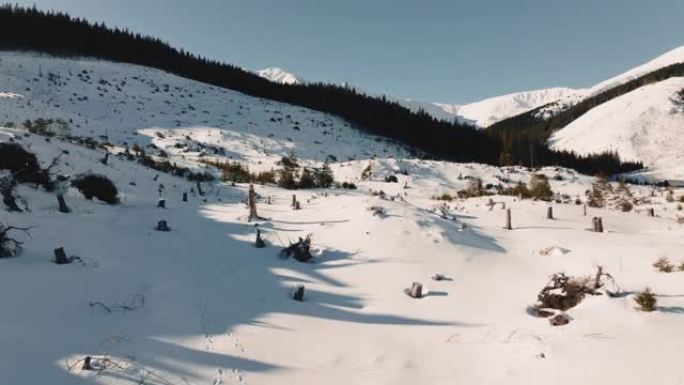 在寒冷的冬天早晨，无人驾驶飞机飞过从树木上清除的白雪皑皑的山丘，白雪覆盖的山峰景观。